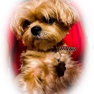 Meet your Posher, Denise